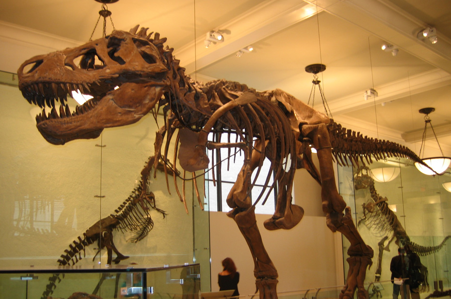 Μουσεία στη Νέα Υόρκη