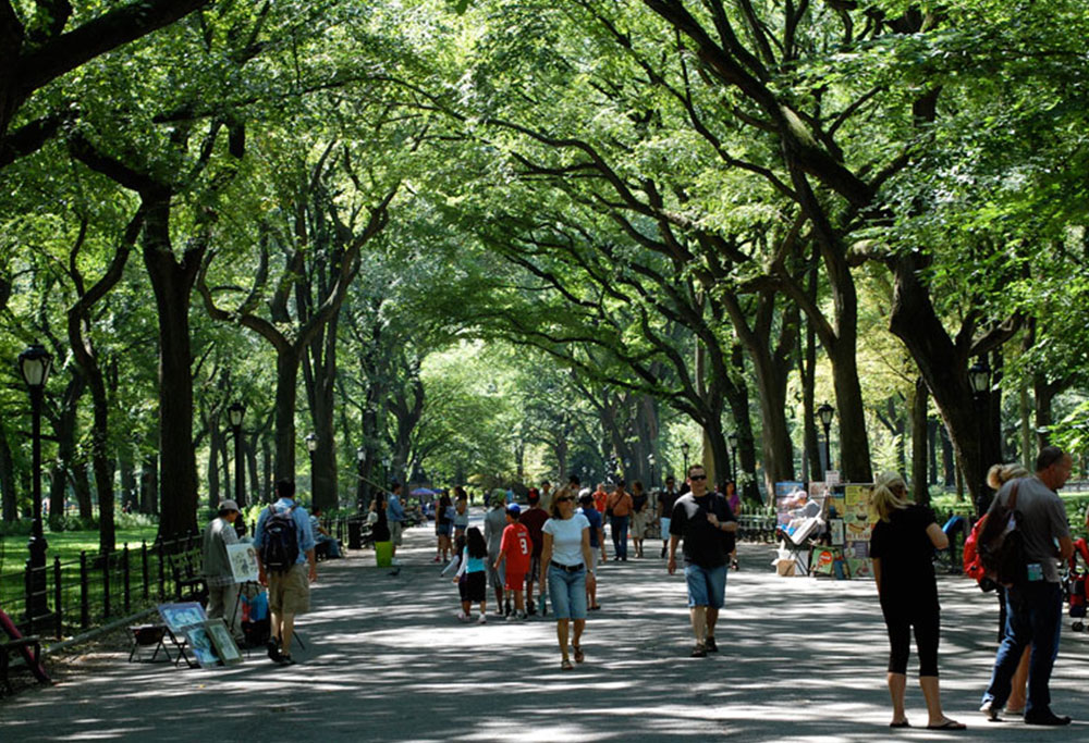 Βόλτες στο Central Park